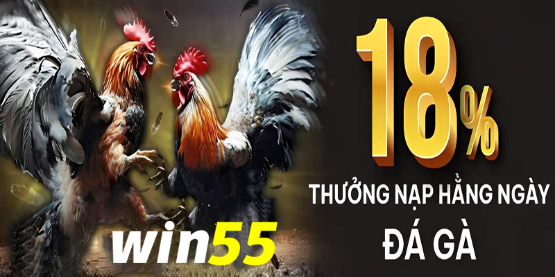 Những lợi ích khi tham gia đá gà tại Win55